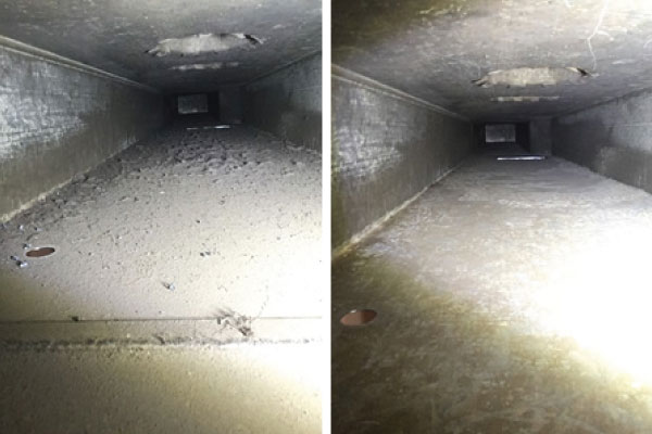 Before & After Cleaning 06