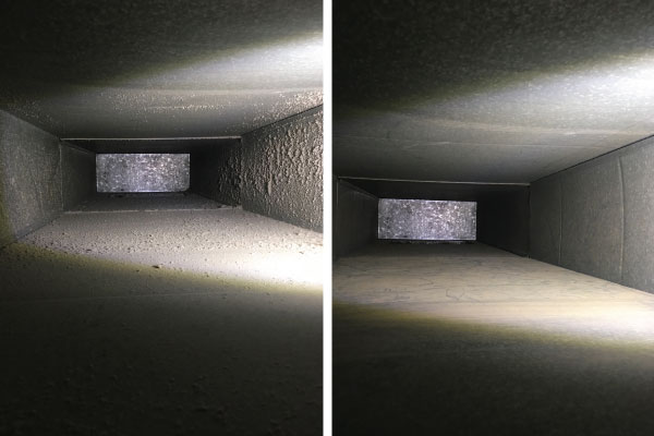 Before & After Cleaning 14