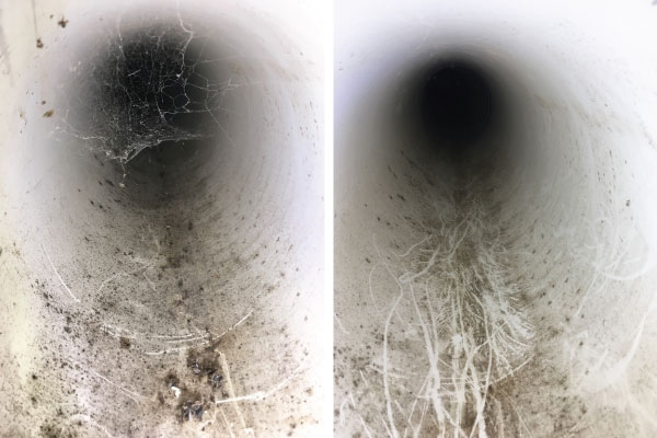 Before & After Cleaning 15