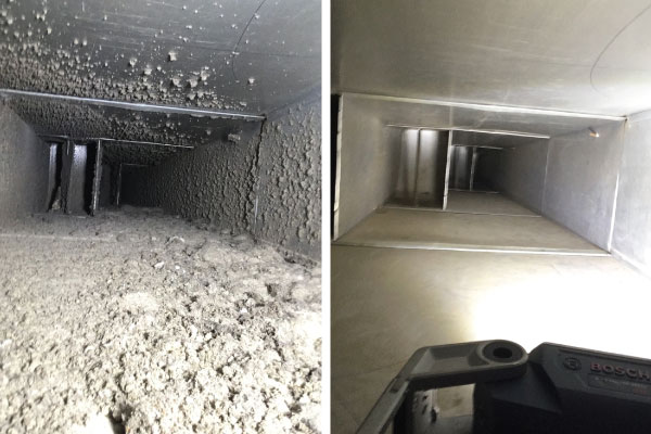 Before & After Cleaning 19