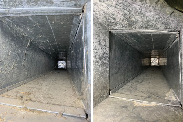 Before & After Cleaning 23