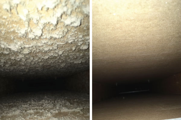 Before & After Cleaning 25